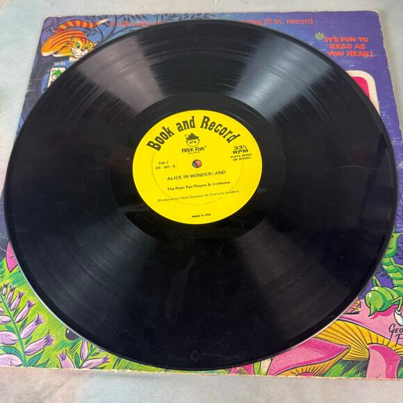 Vintage 1971 Alice In Wonderland Read Along Book & Record Vinyl Record - Picture 6 of 6